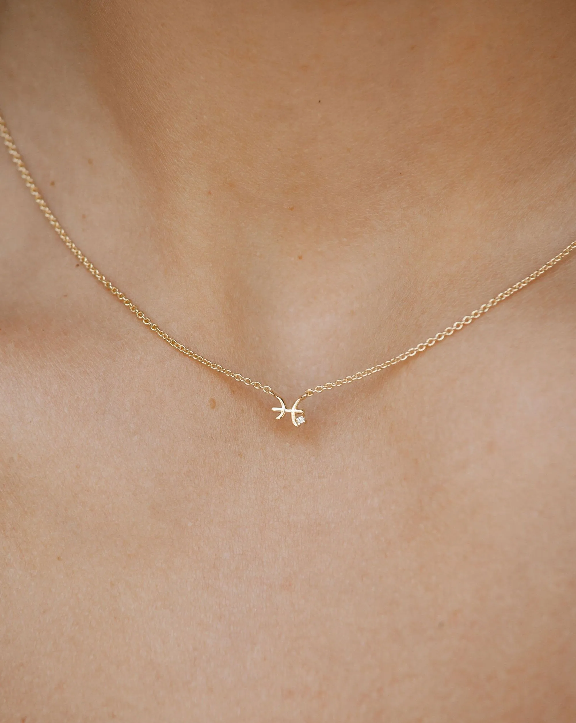 Pisces Symbol Choker